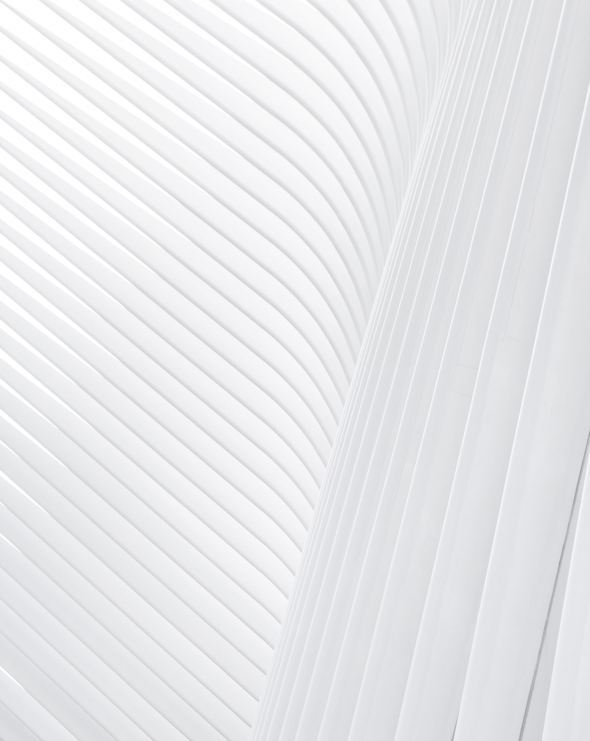Arquitetura wallpaper, White stripe pattern