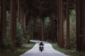 Man riding black motorcycle on road between forest
