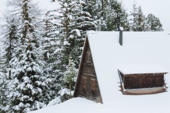 Brown cabin covered of snow beside trees at daytime