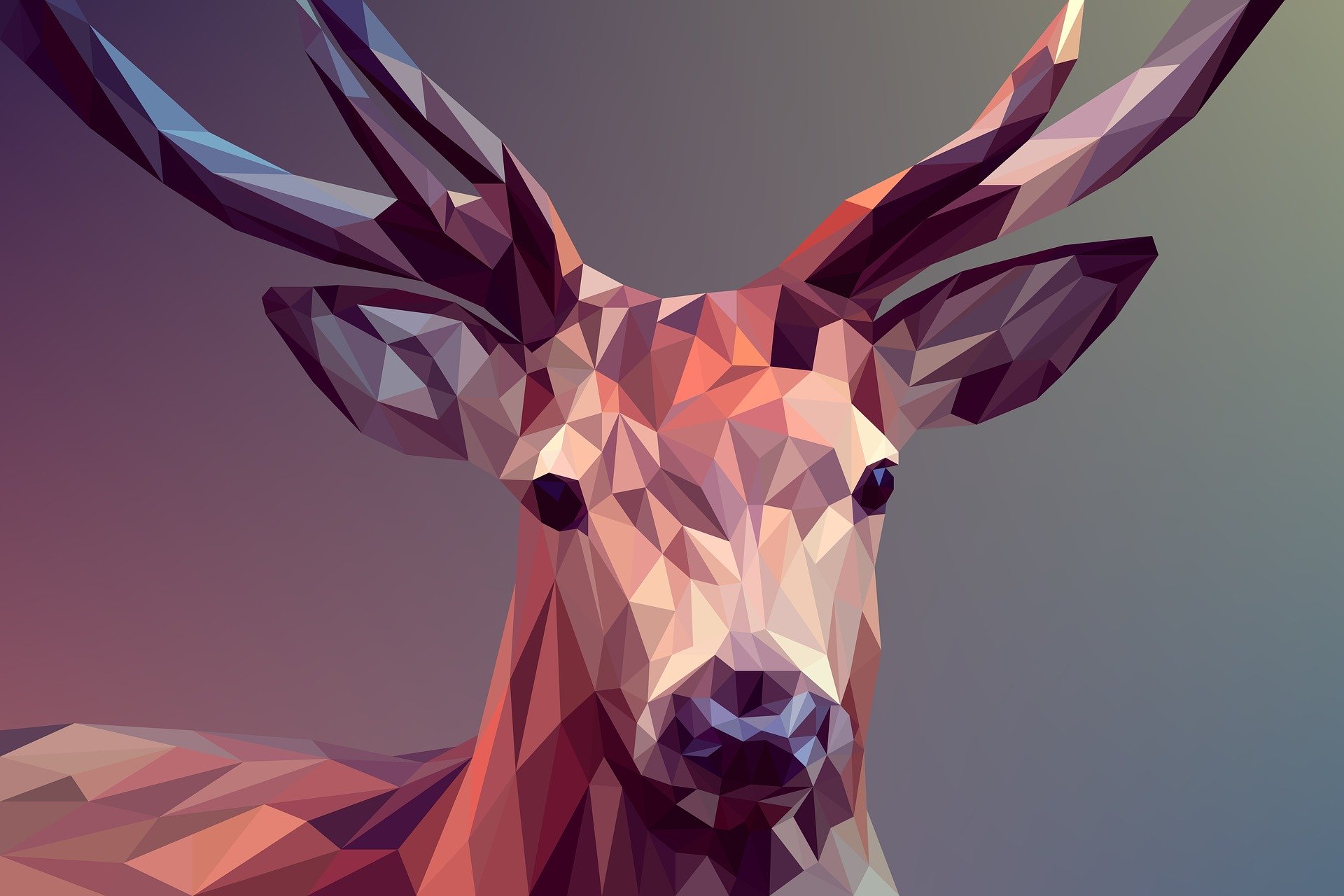 Deer polygons art wallpaper
