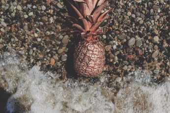 Pink pineapple on grey gravel near body of water