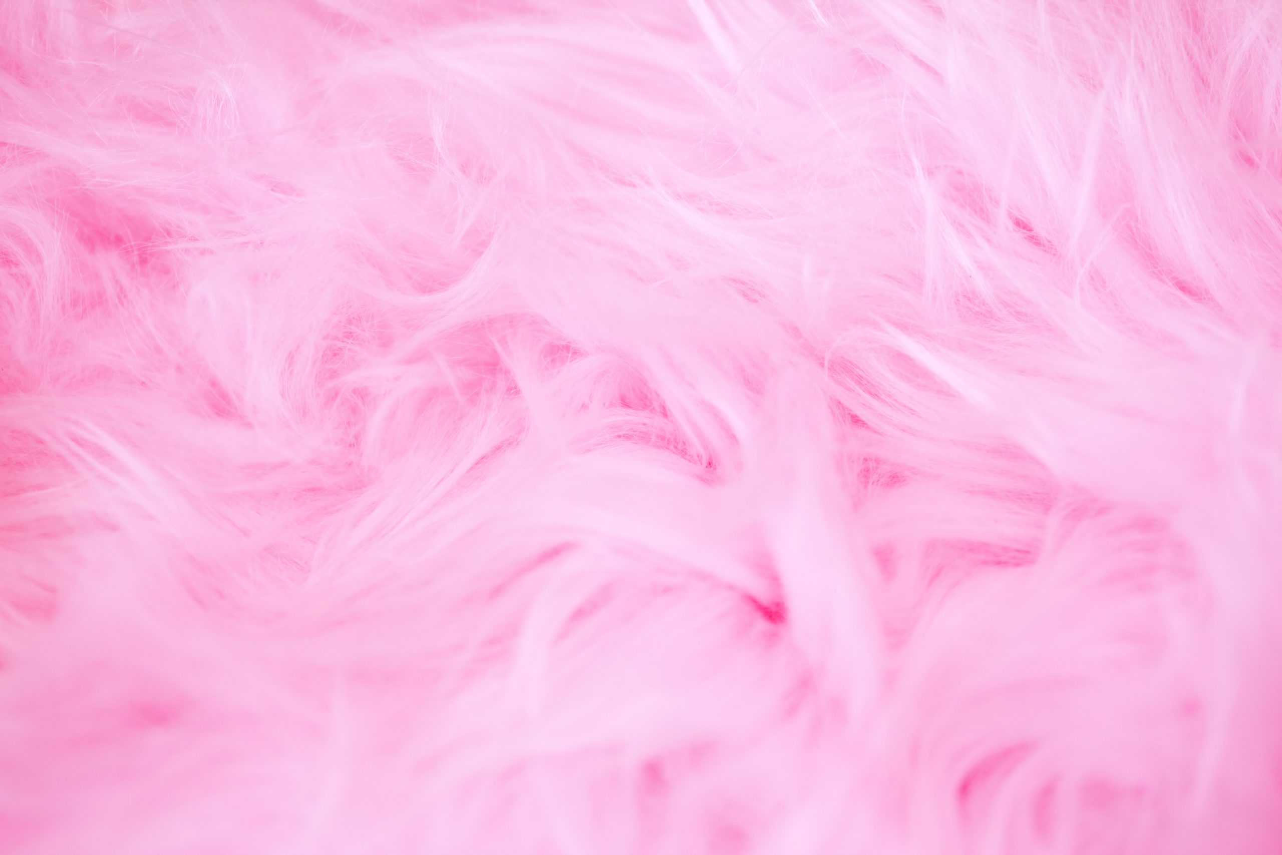 Soft and fluffy pink wallpaper