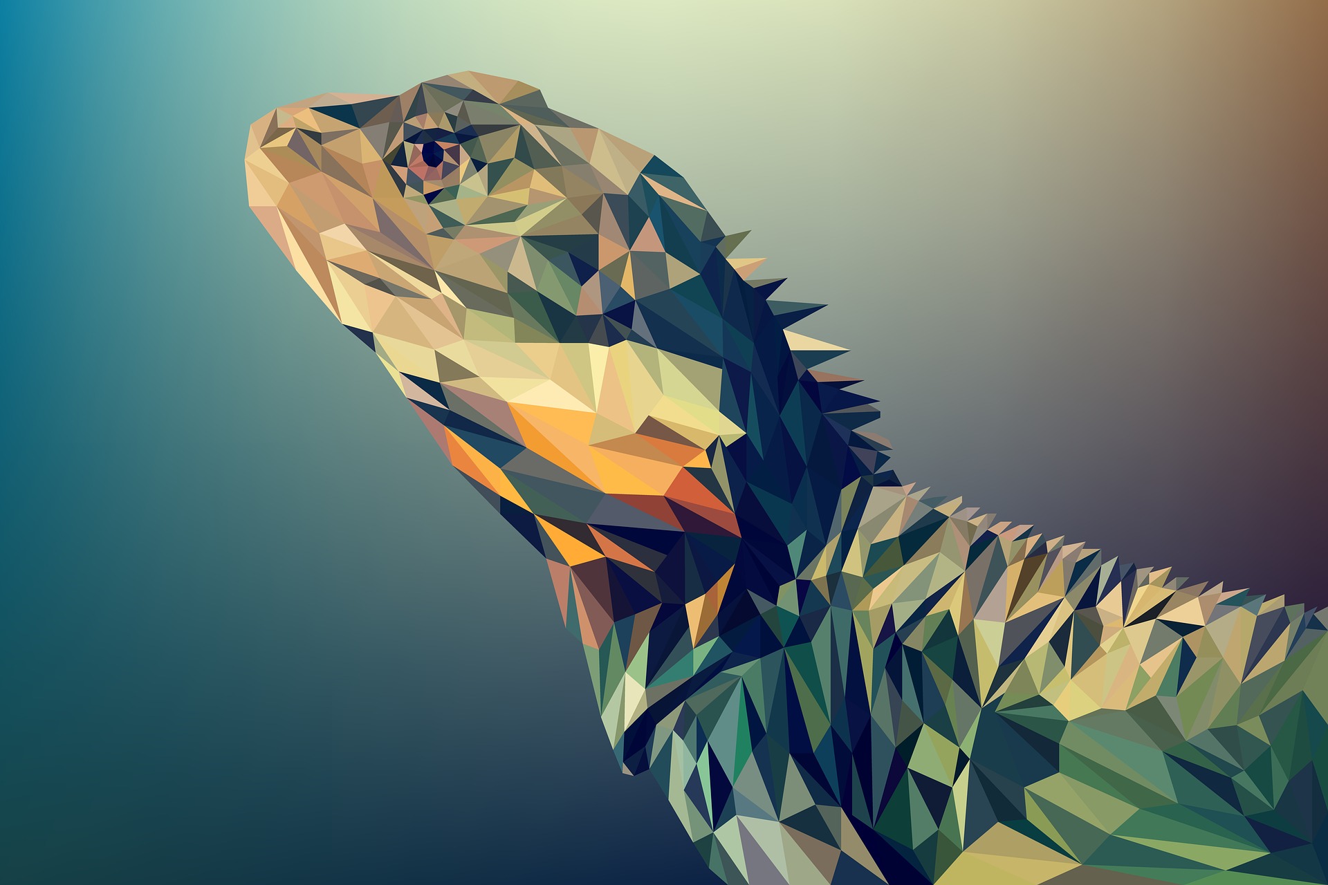 Lizard vector art polygon illustration wallpaper