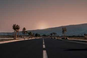 Highway between trees during golden hour