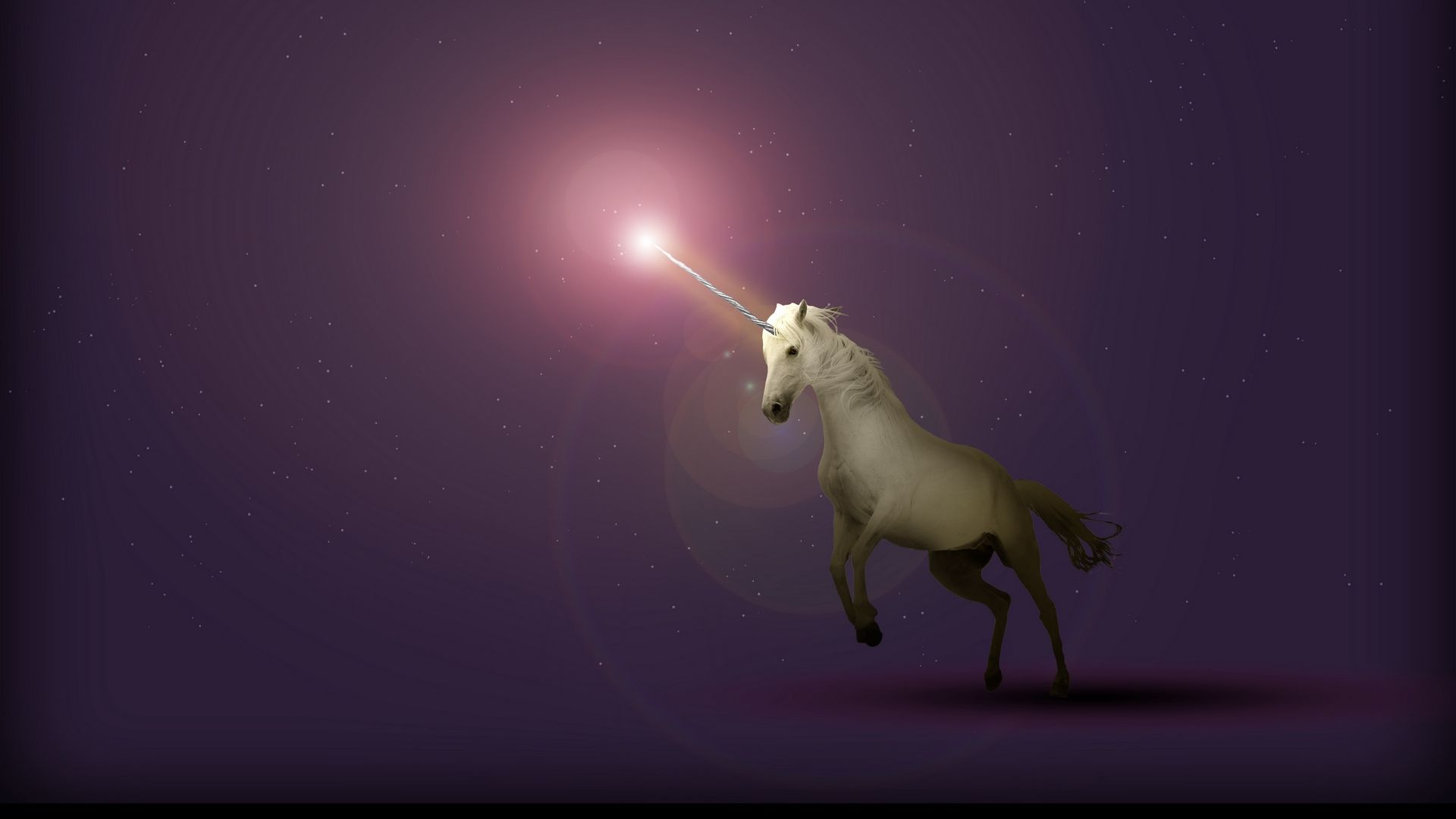 Unicorn a light in the dark