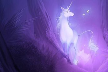 Unicorn and Butterfly