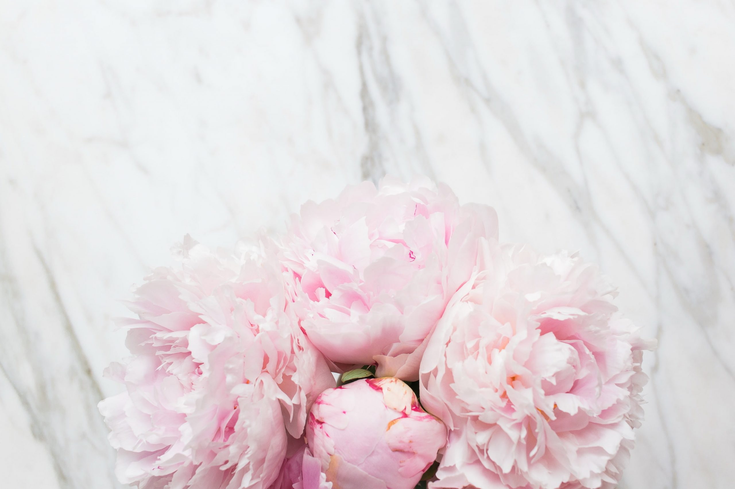 Flowers bouquet marble wallpaper pink peonies tender