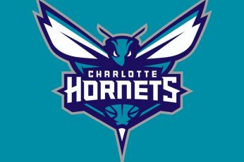 Charlotte Hornets logo, NBA, sports, basketball wallpaper, blue, communication