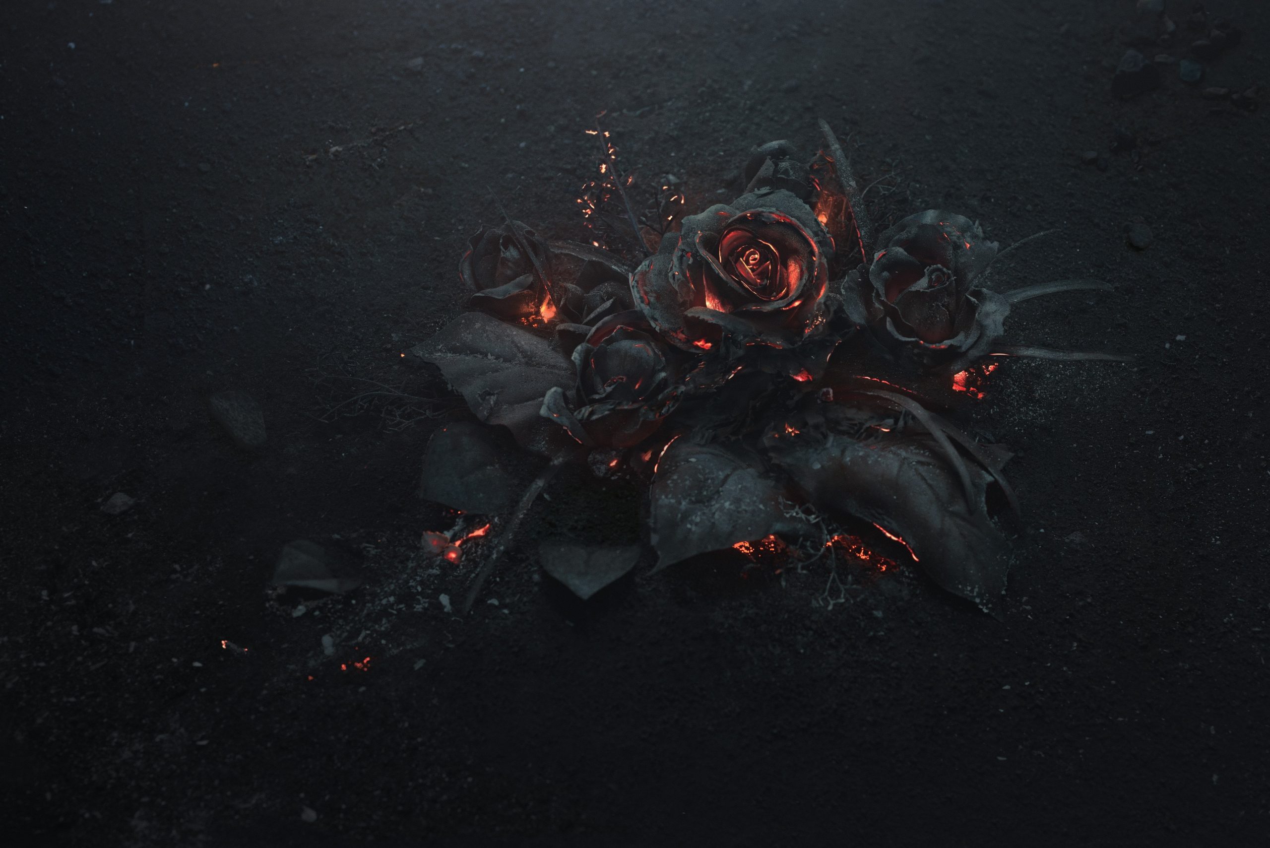 Wallpaper black rose illustration, ash, burning, abstract, dark, flowers