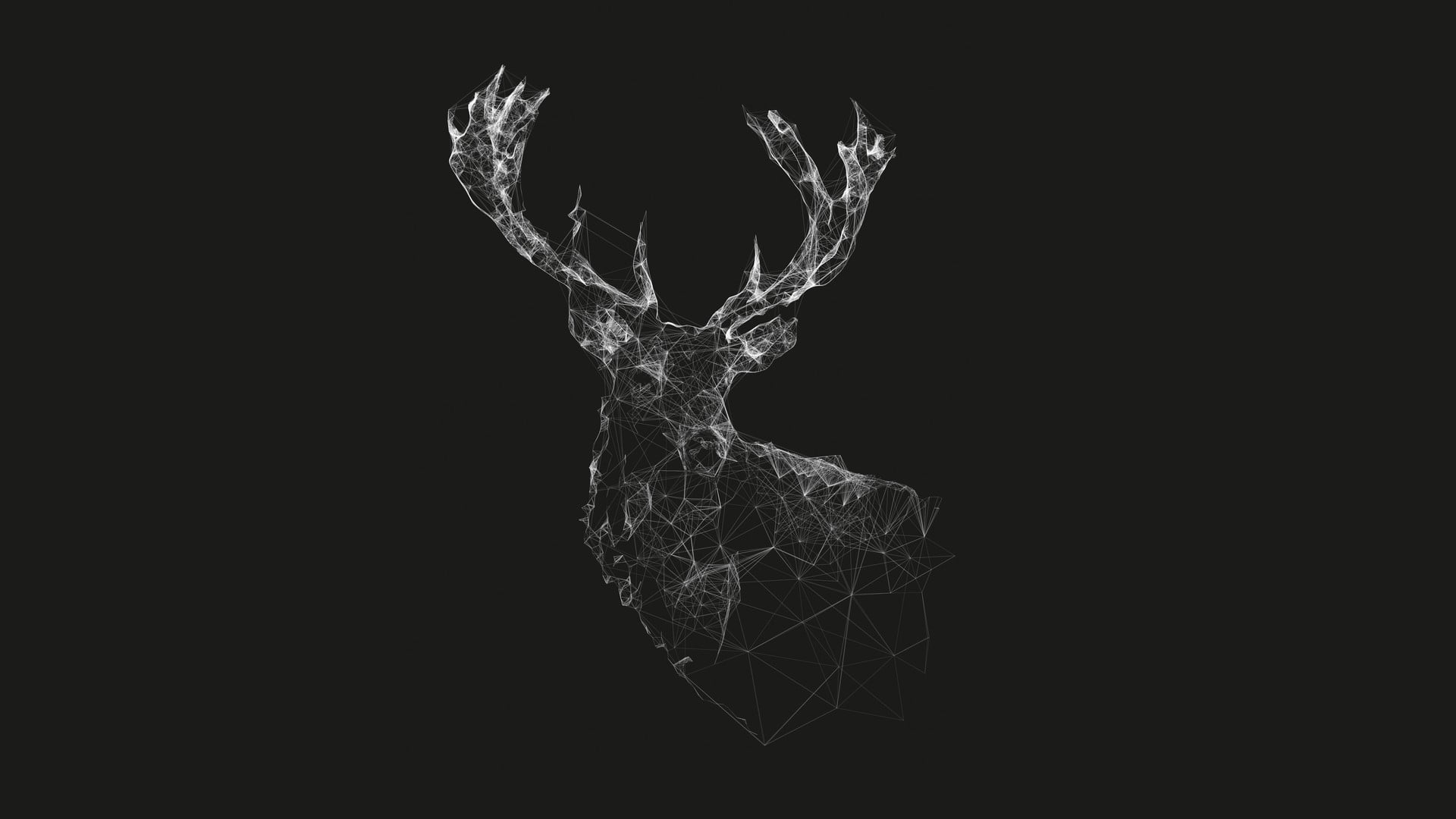Wallpaper white deer sketch, grey deer digital wallpaper, geometry, wireframe