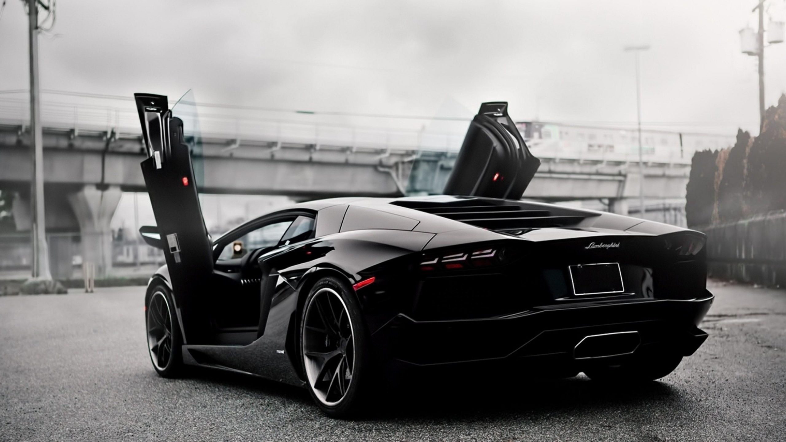 Wallpaper Dream Car, Lamborghini, Aventador, Black - Wallpaperforu