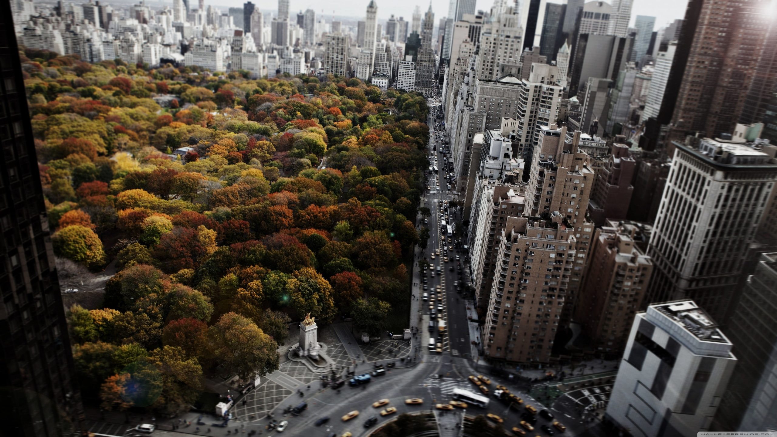 Wallpaper Central Park, New York photo, buildings aerial photography, architecture