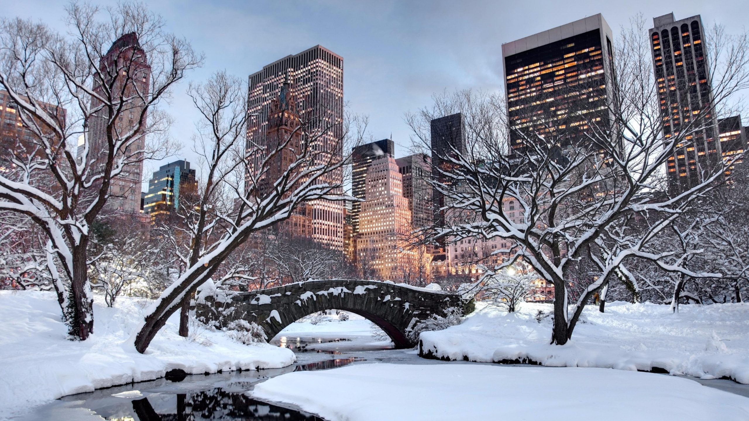 Snow, winter, united states, new york city, tree, sky, building wallpaper