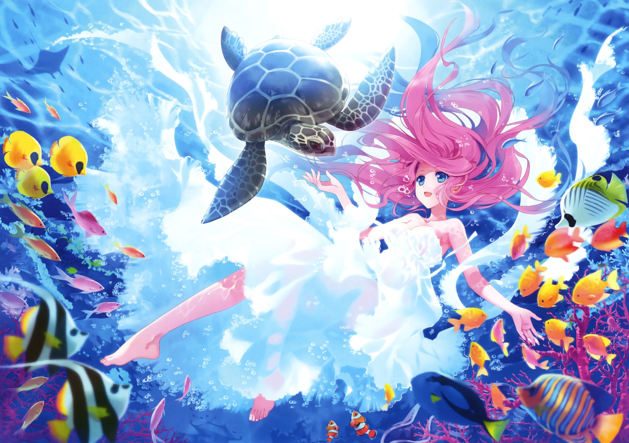 Fishes, Underwater, Turtle, Kawaii, Mermaid wallpaper
