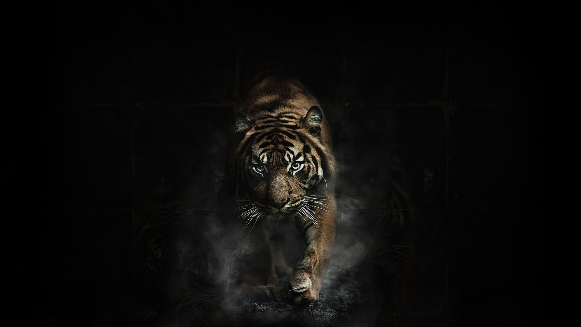 Adult brown tiger, animals, dark, artwork, animal themes, one animal wallpaper
