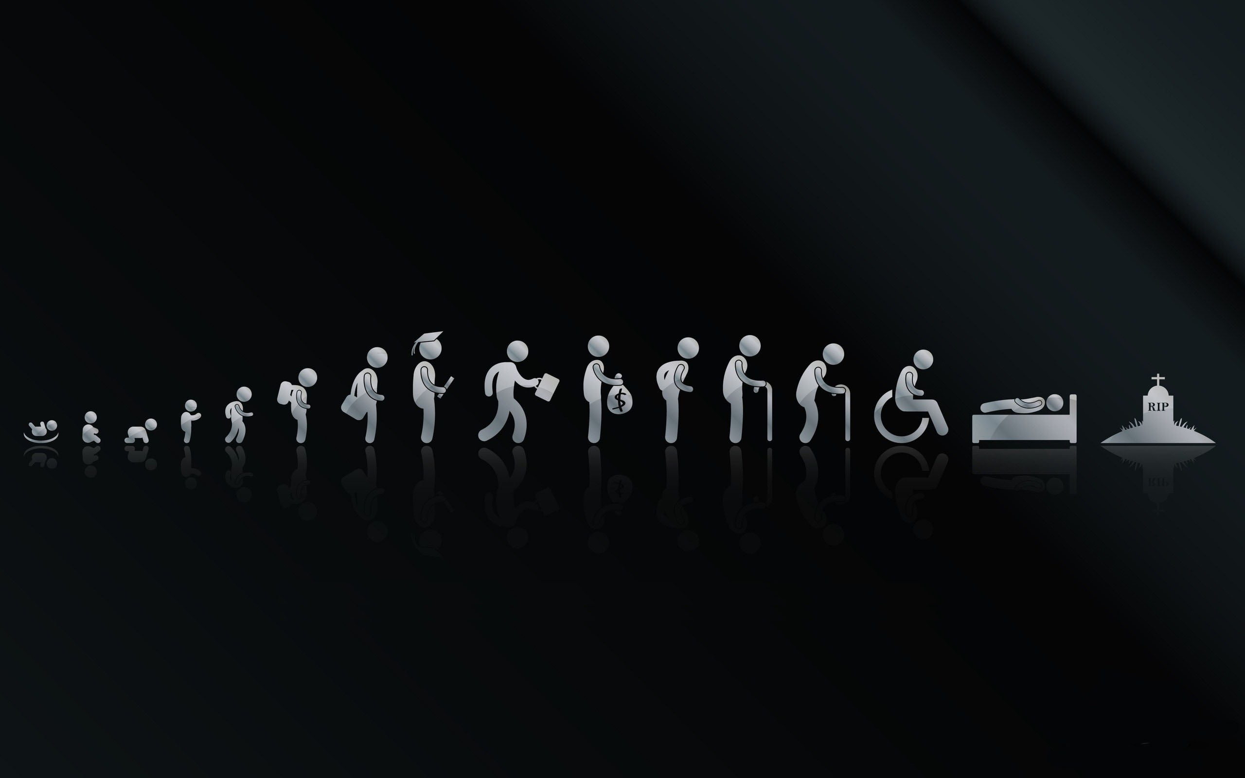 Life cycle illustration, productive life goes on illustration wallpaper