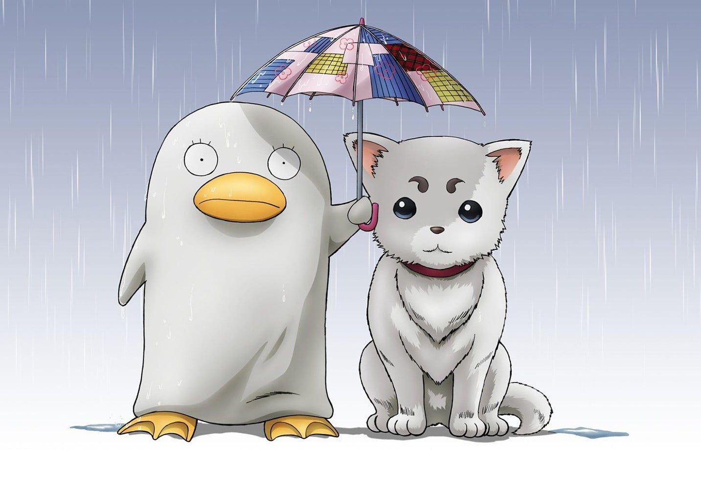 Gintama pet dog and duck digital wallpaper, anime, simple background