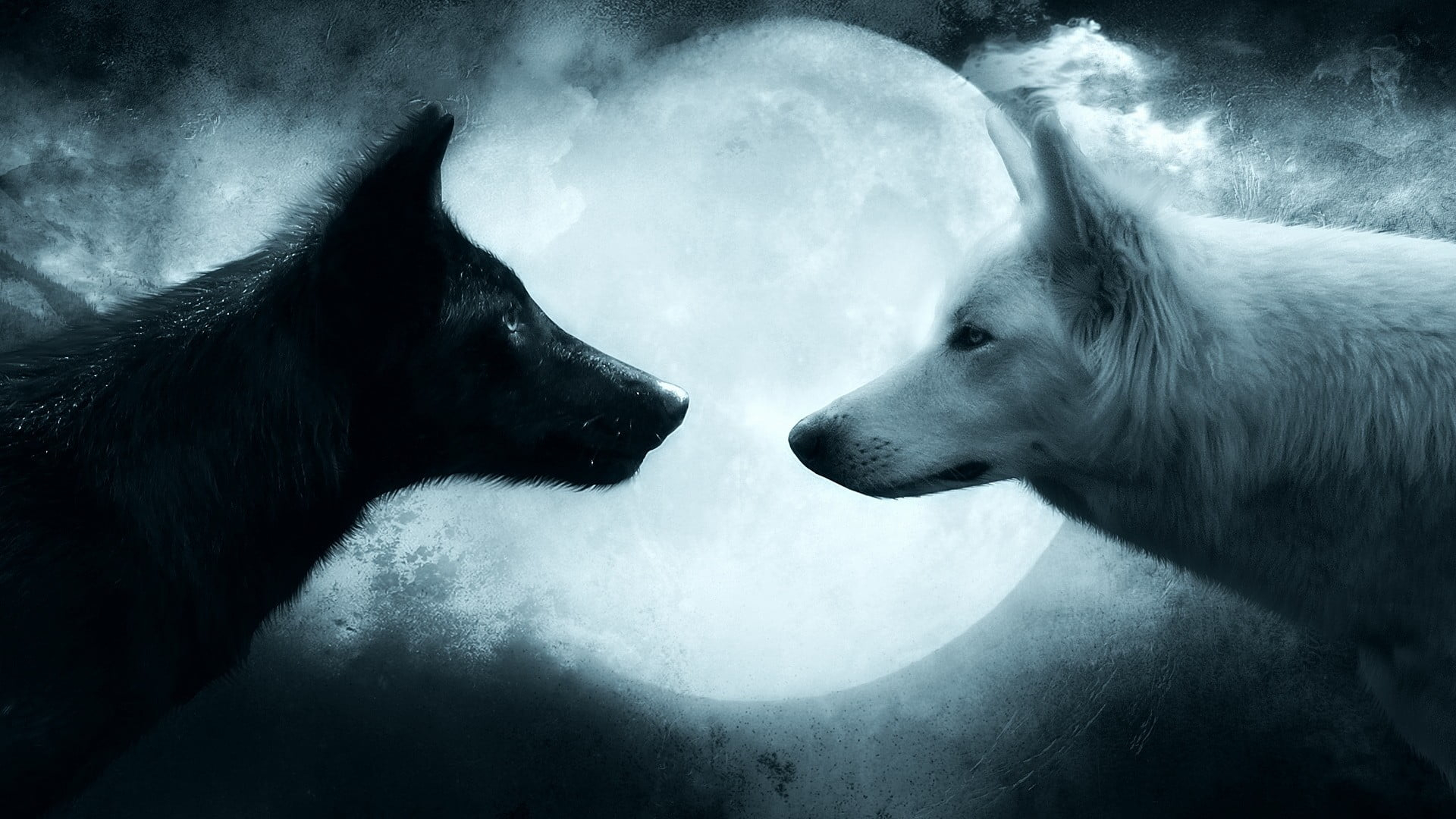 Two black and white wolves wallpaper, wolf, couple, animal, animal themes wallpaper