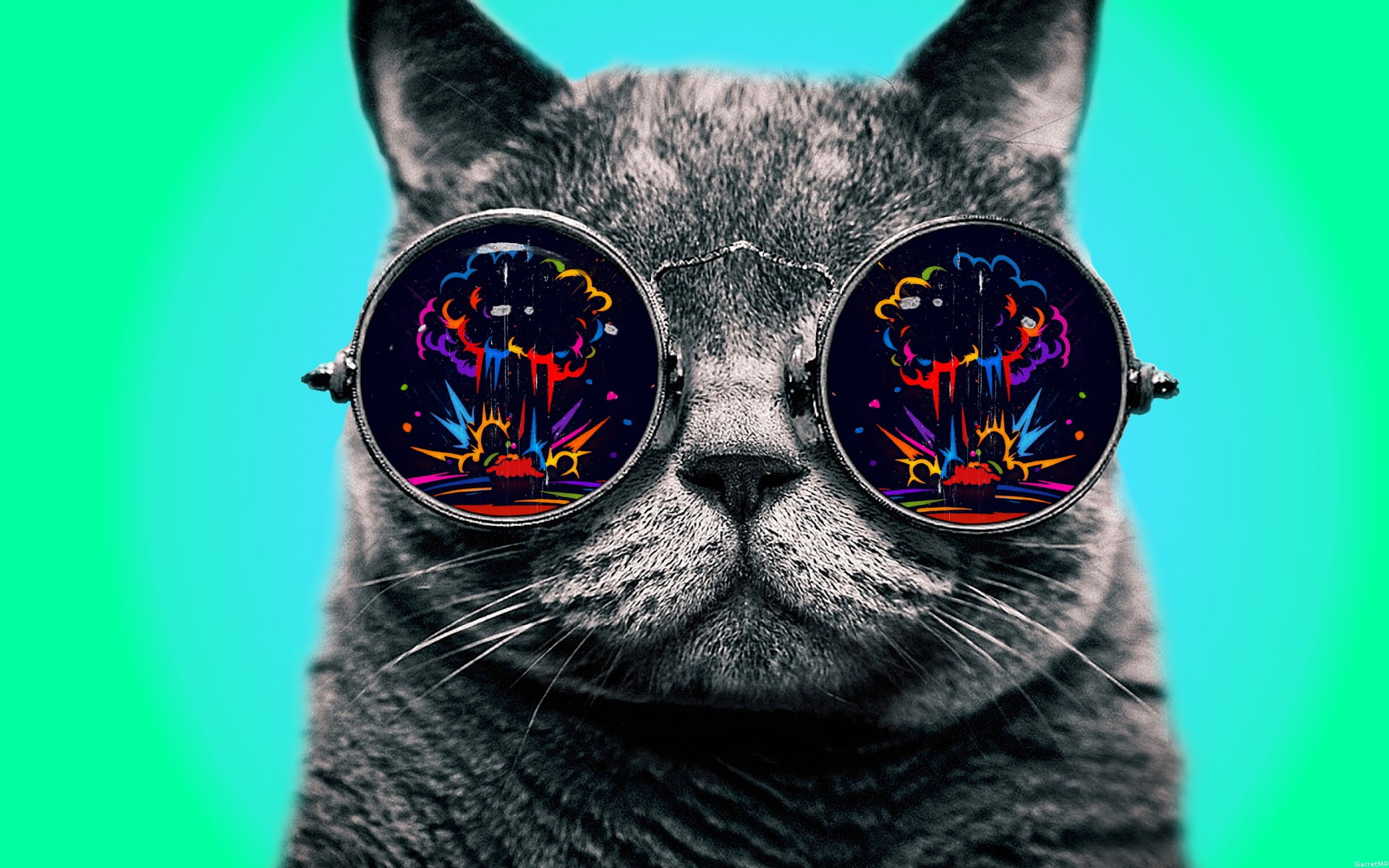 Gray cat, colorful, glasses, dope, Morpheus, digital art, simple background