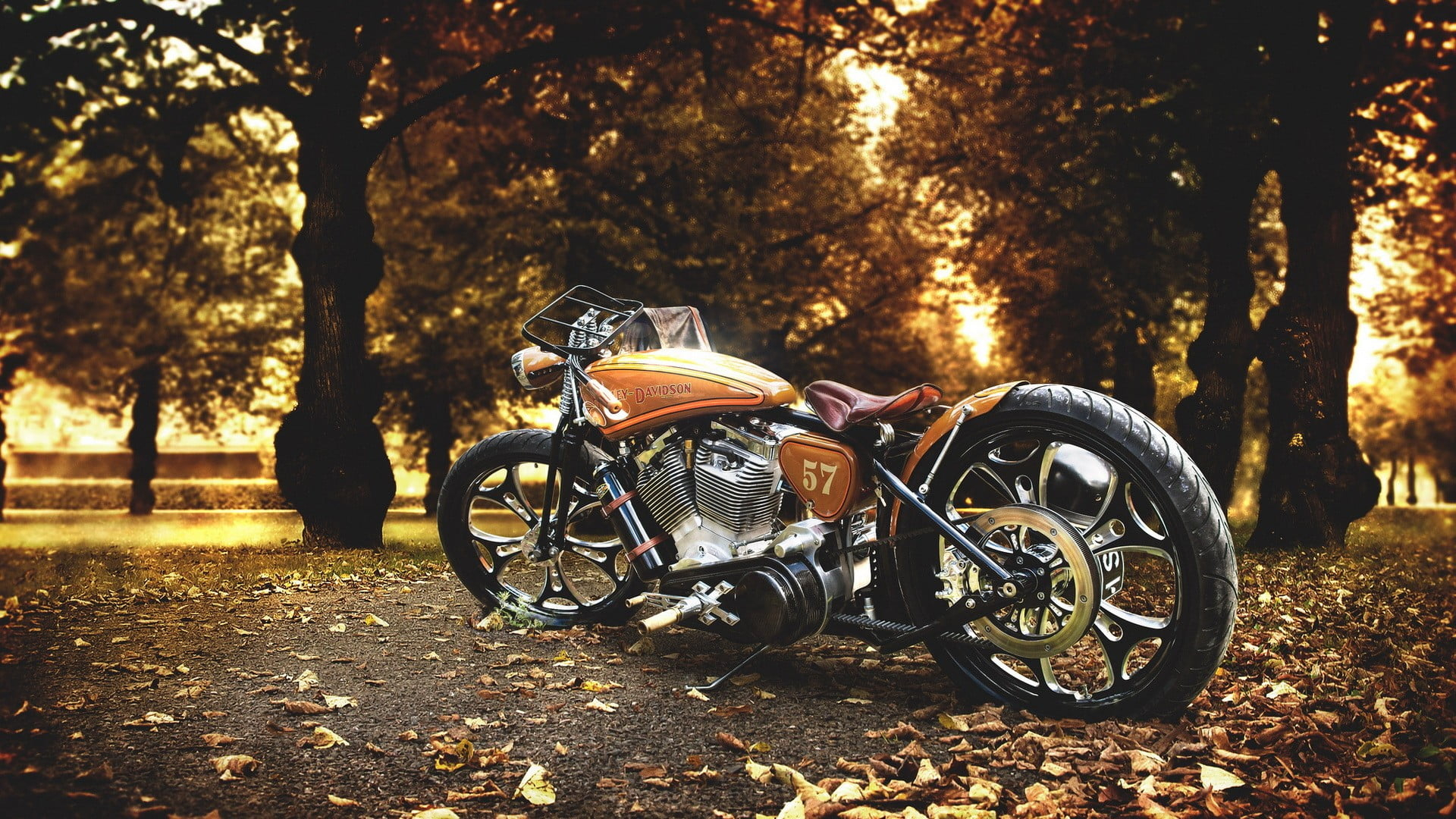 Brown and gray cruiser motorcycle, brown bobber motorcycle, Harley Davidson wallpaper