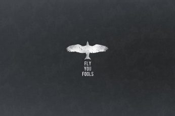 Wallpaper Fly You Fools text, quote, The Lord of the Rings, Gandalf, minimalism