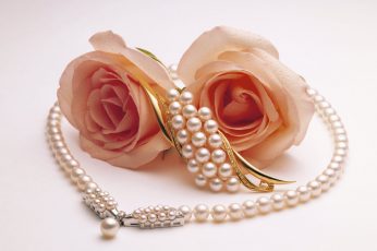 Wallpaper gold-colored jewelry and two pink roses, pearl, brooch, fashion