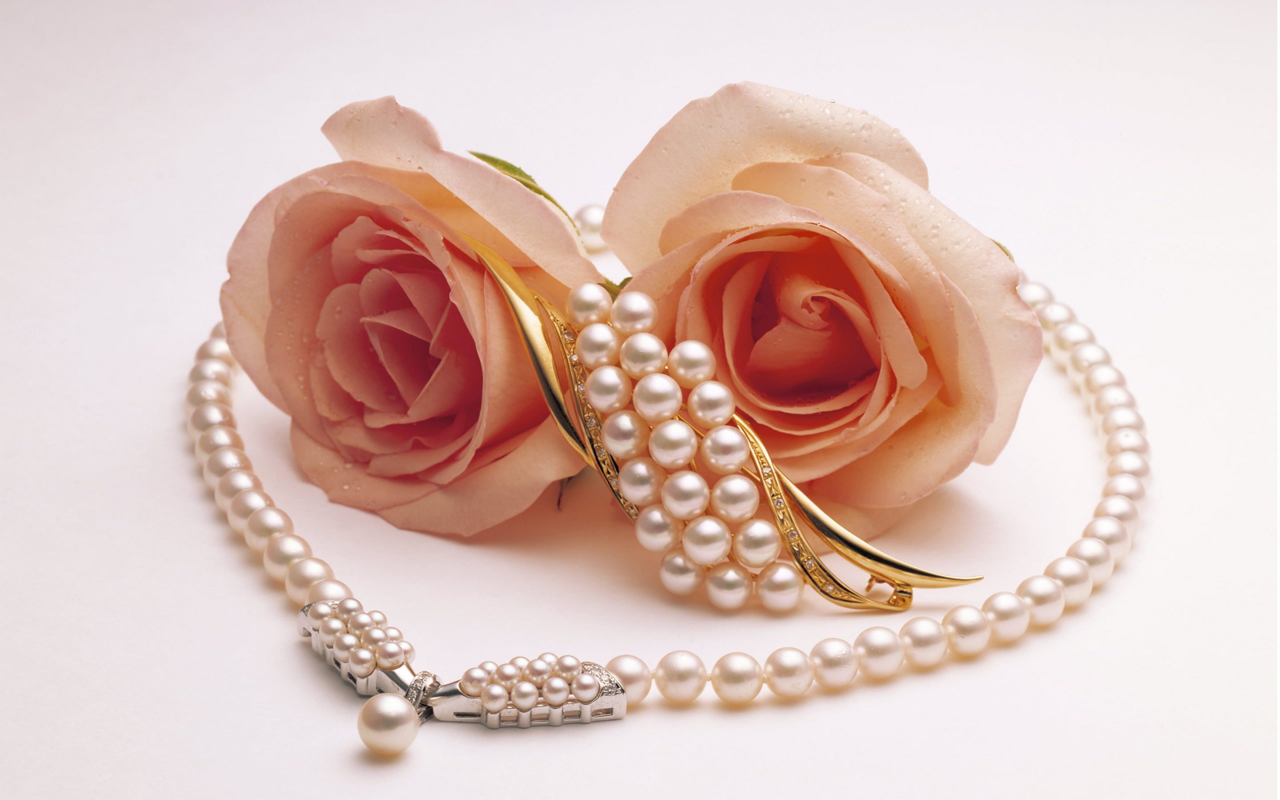 Wallpaper gold-colored jewelry and two pink roses, pearl, brooch, fashion