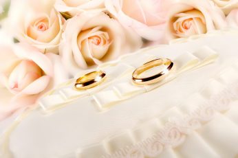 Wallpaper two gold-colored wedding rings, glitter, fabric, flower, rose