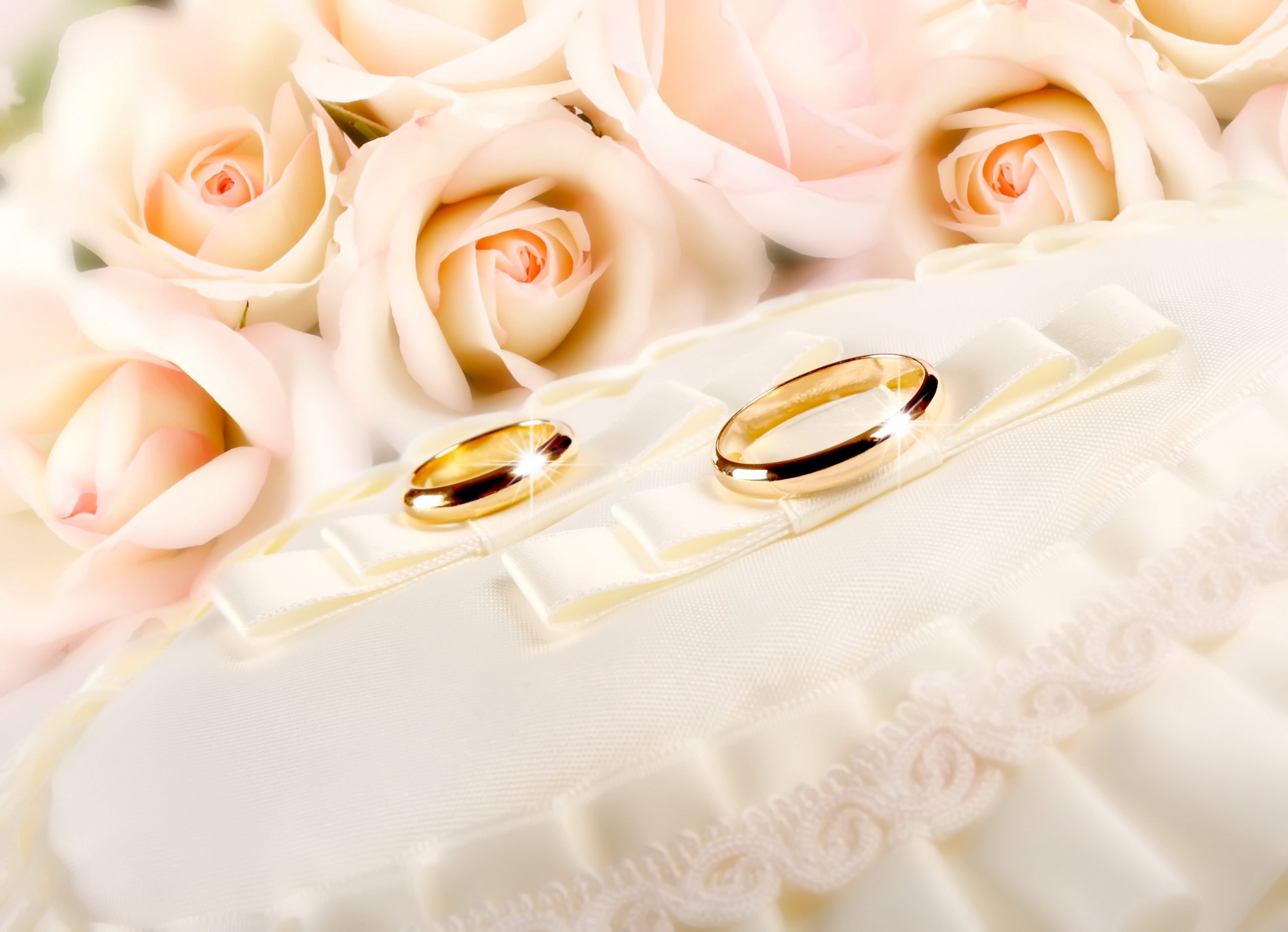 Wallpaper two gold-colored wedding rings, glitter, fabric, flower, rose