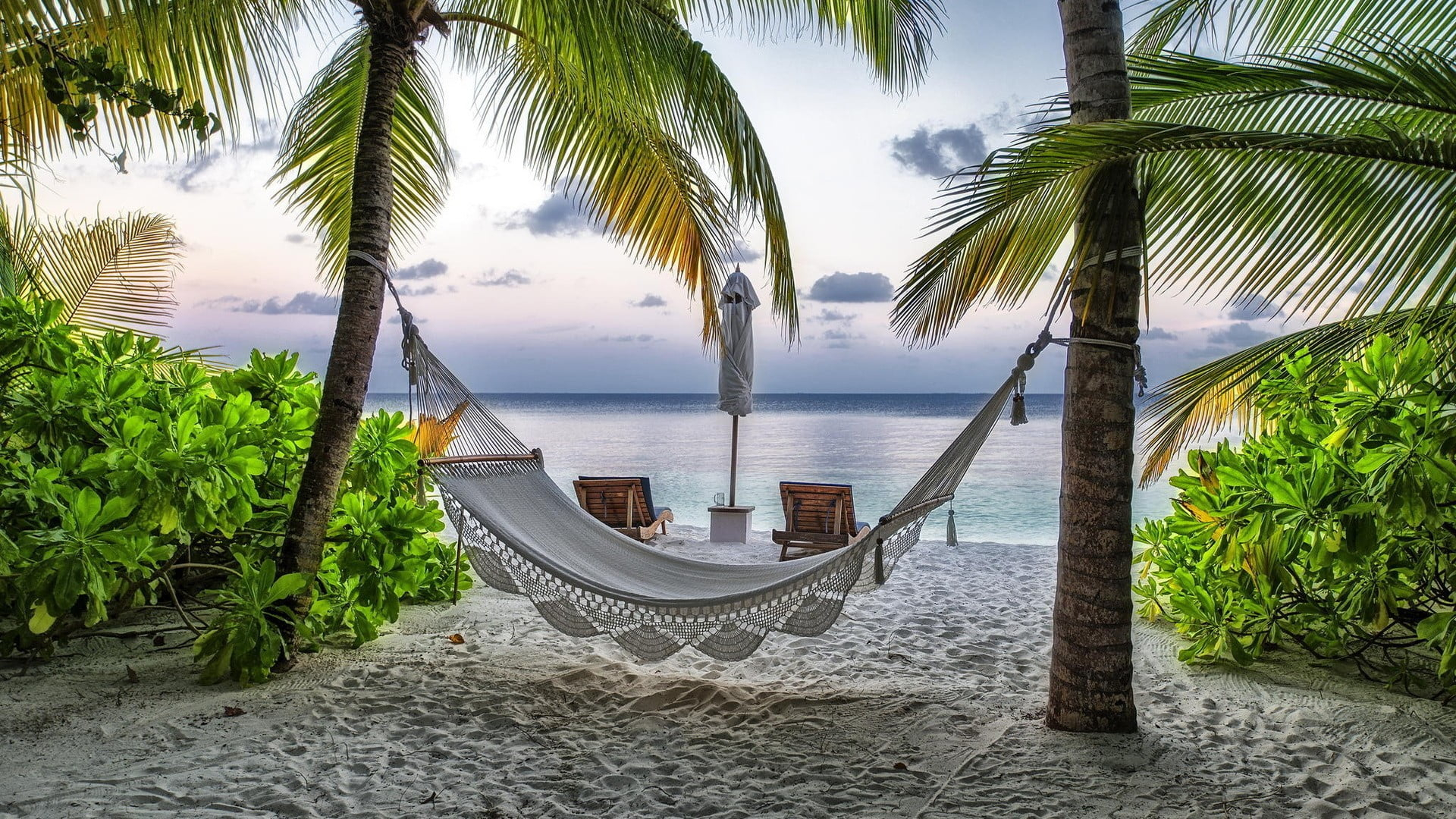 White hammock, landscape, hammocks, palm trees, tropical, sea wallpaper