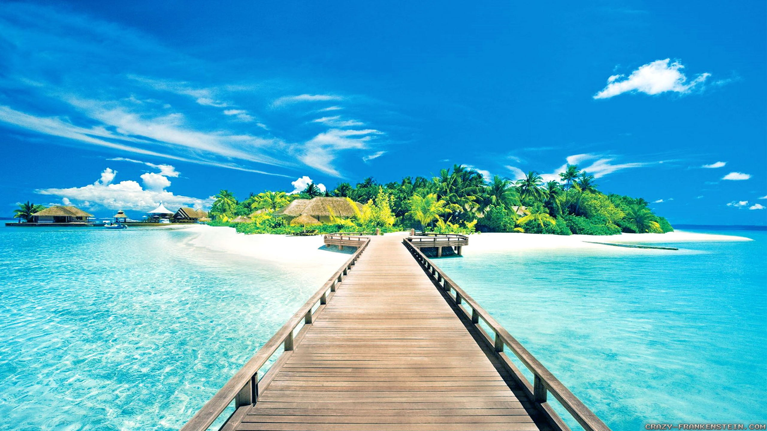 Brown wooden dock, beach, water, pier, tropical, sky, sea, clouds wallpaper