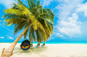 Tropical beach, maldives, tropical landscape, summertime, tourism wallpaper