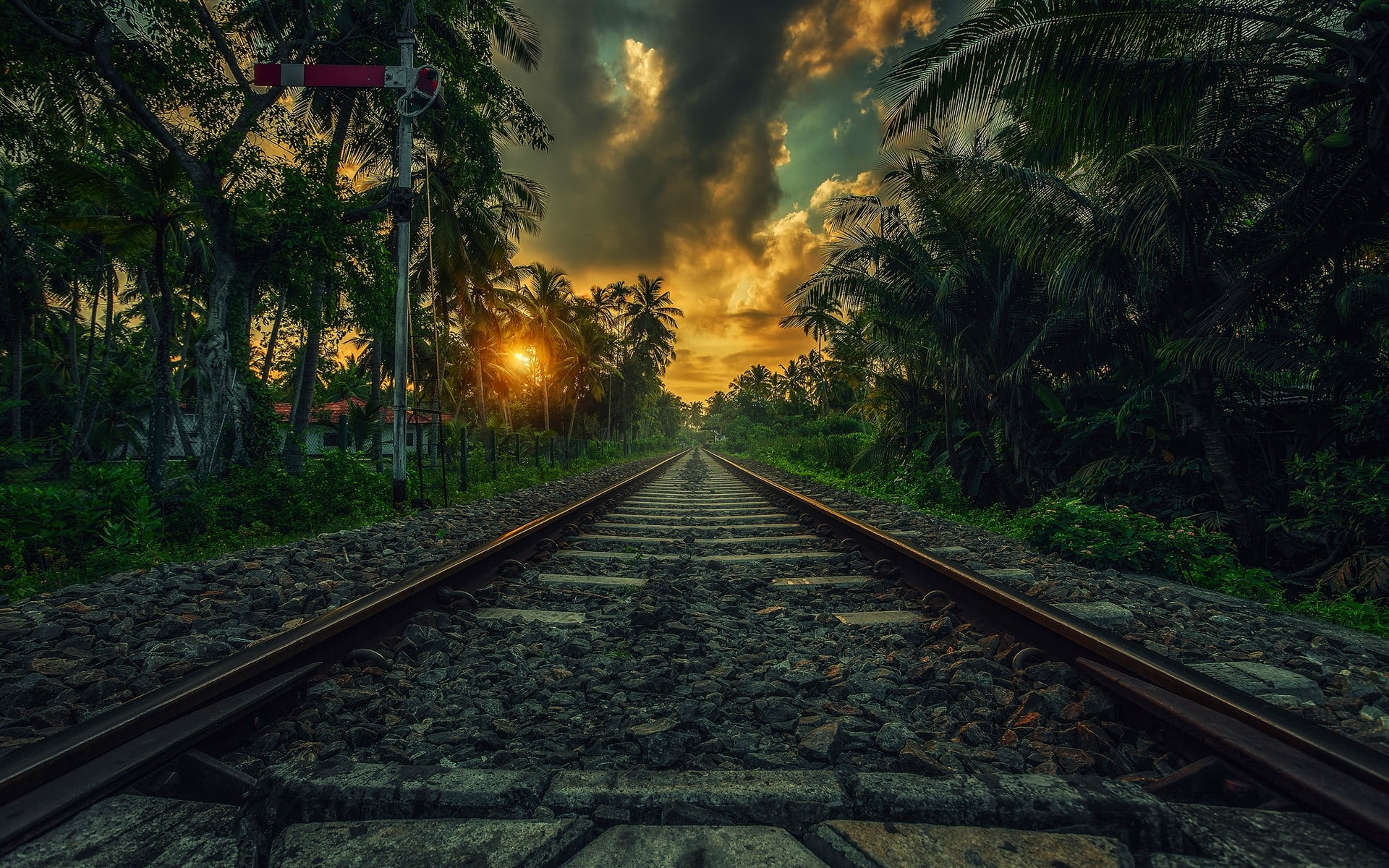 Train railway wallpaper, nature, landscape, sunset, palm trees wallpaper