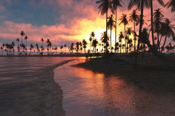 Silhouette of coconut palm trees, nature, landscape, tropical wallpaper
