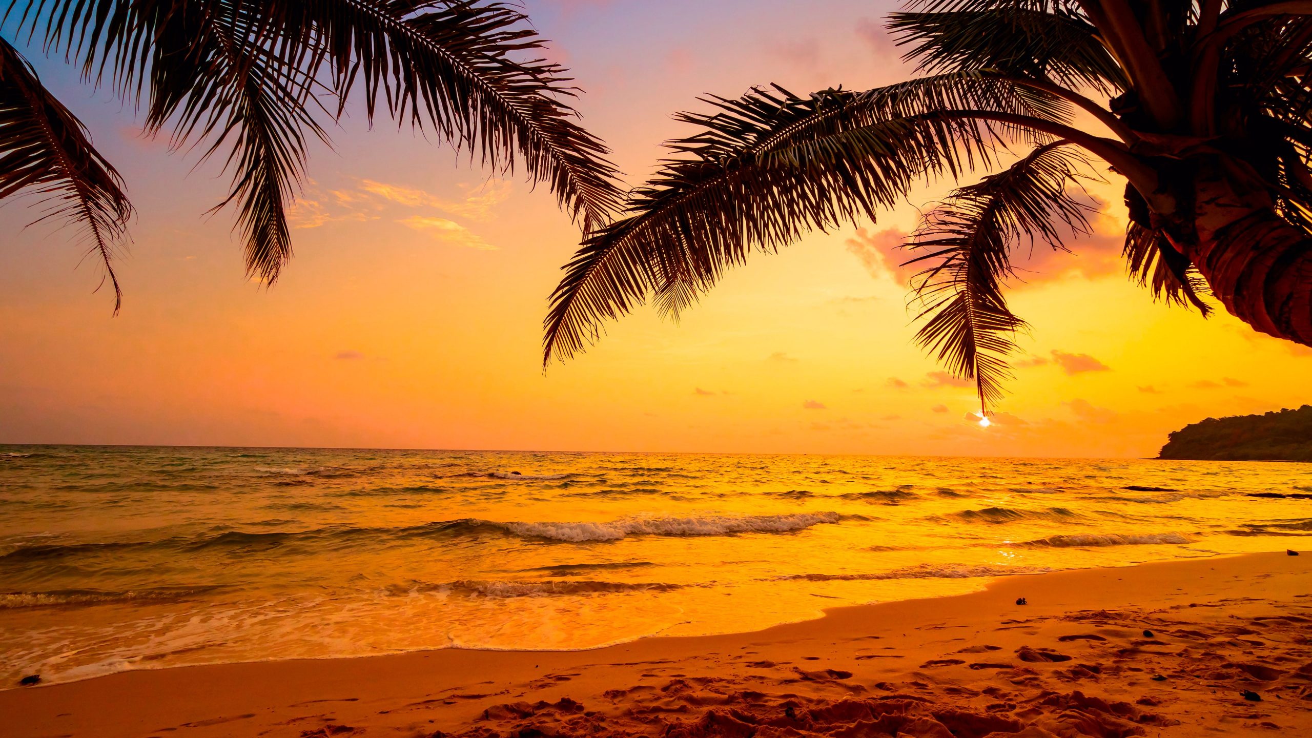 Sky, sea, tropics, sunset, palm tree, arecales, tropical landscape wallpaper