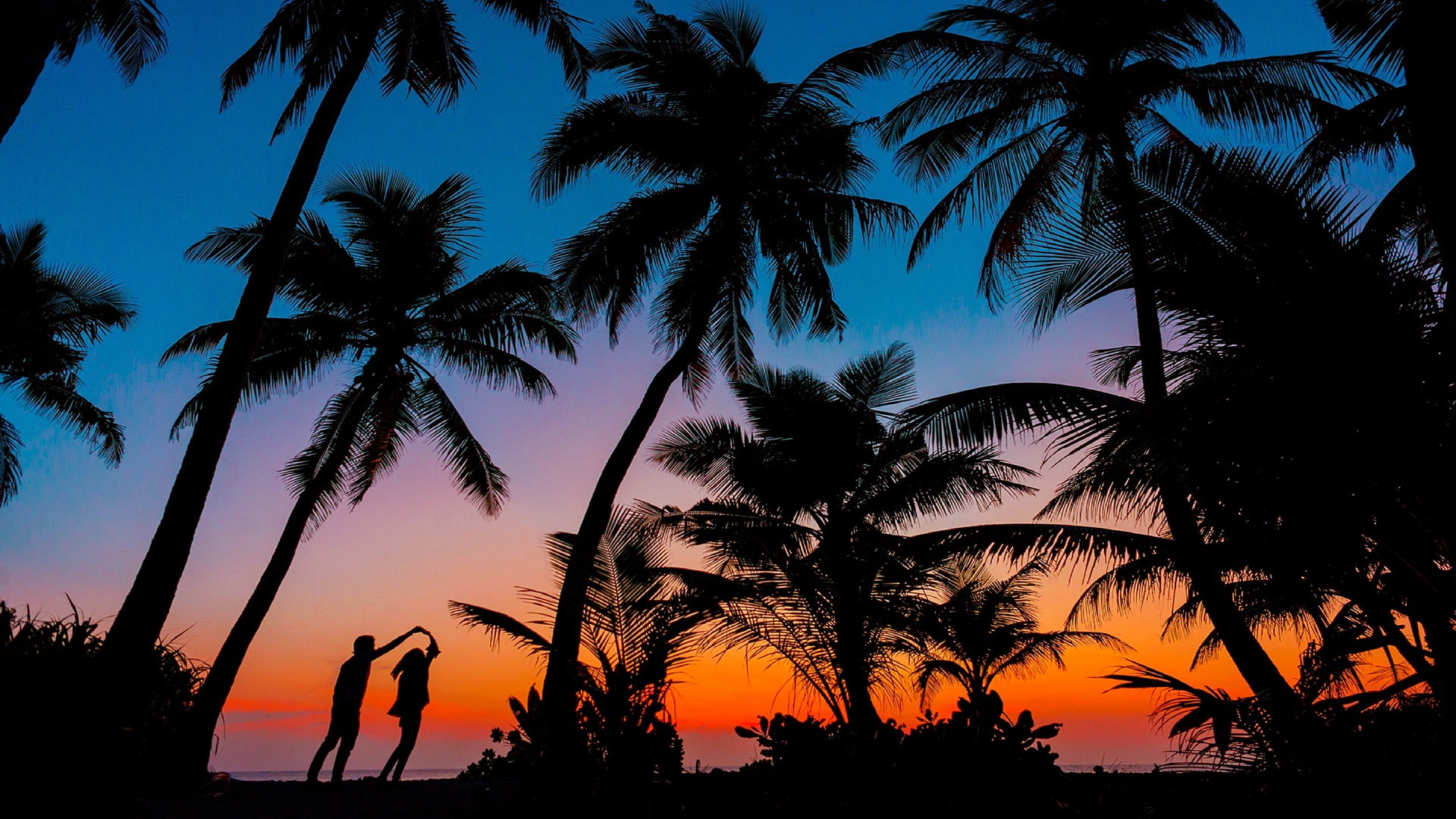 Palm tree, silhouette, romantic, couple, romance, sunset, tropics wallpaper