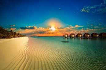 White sand, landscape, nature, beach, resort, palm trees, sunset wallpaper