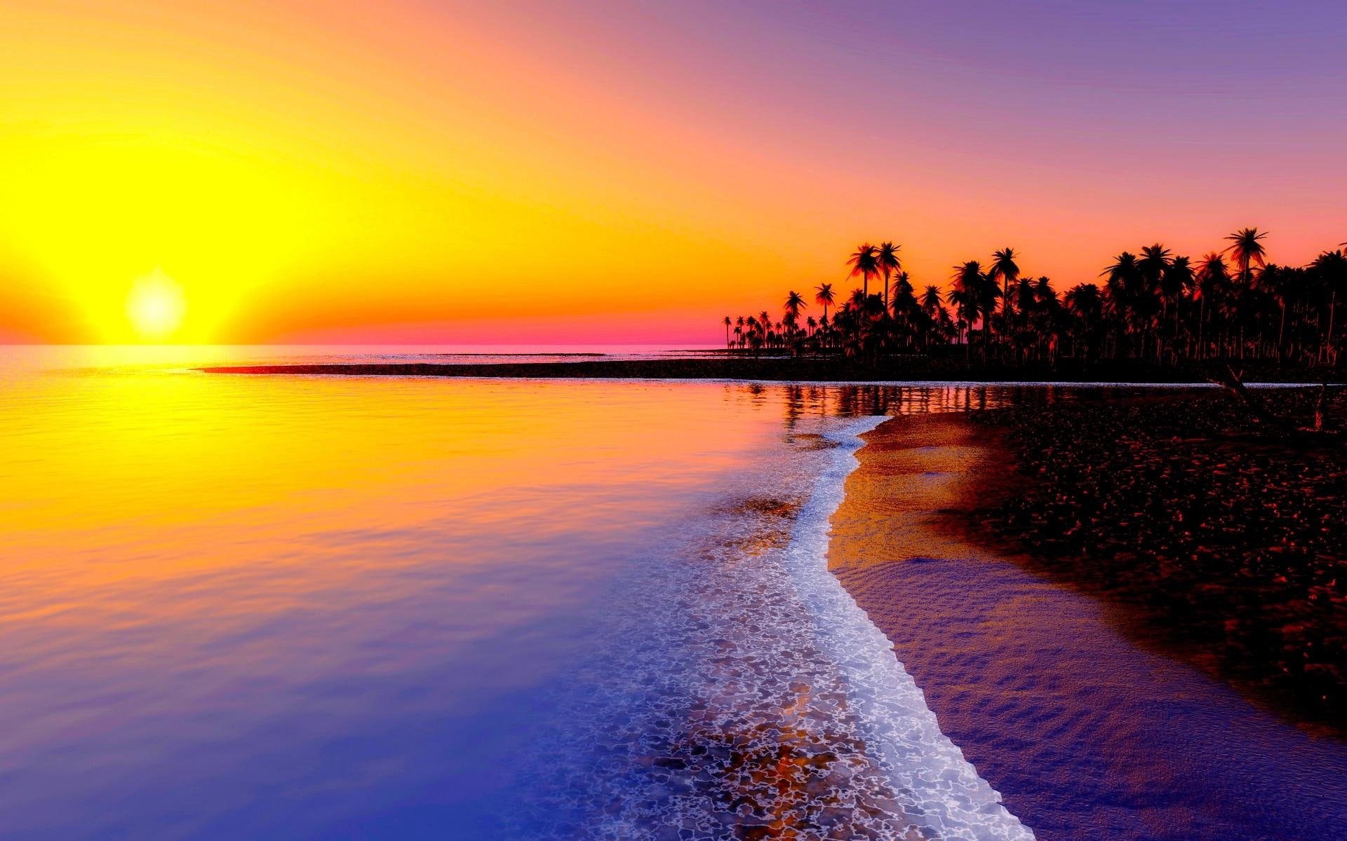 Beach, tropics, sea, sand, palm trees, sunset wallpaper