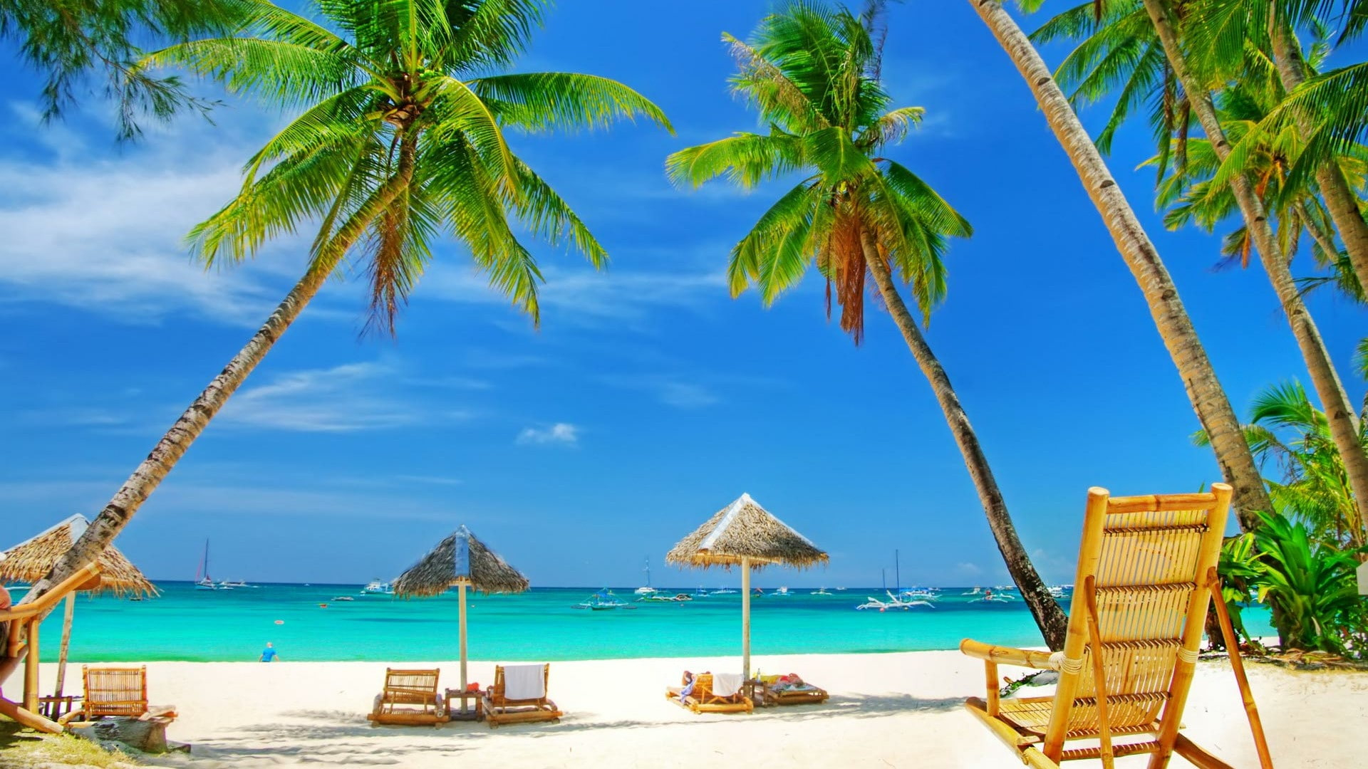 Tropics, caribbean, vacation, resort, leisure, palm tree, sea wallpaper