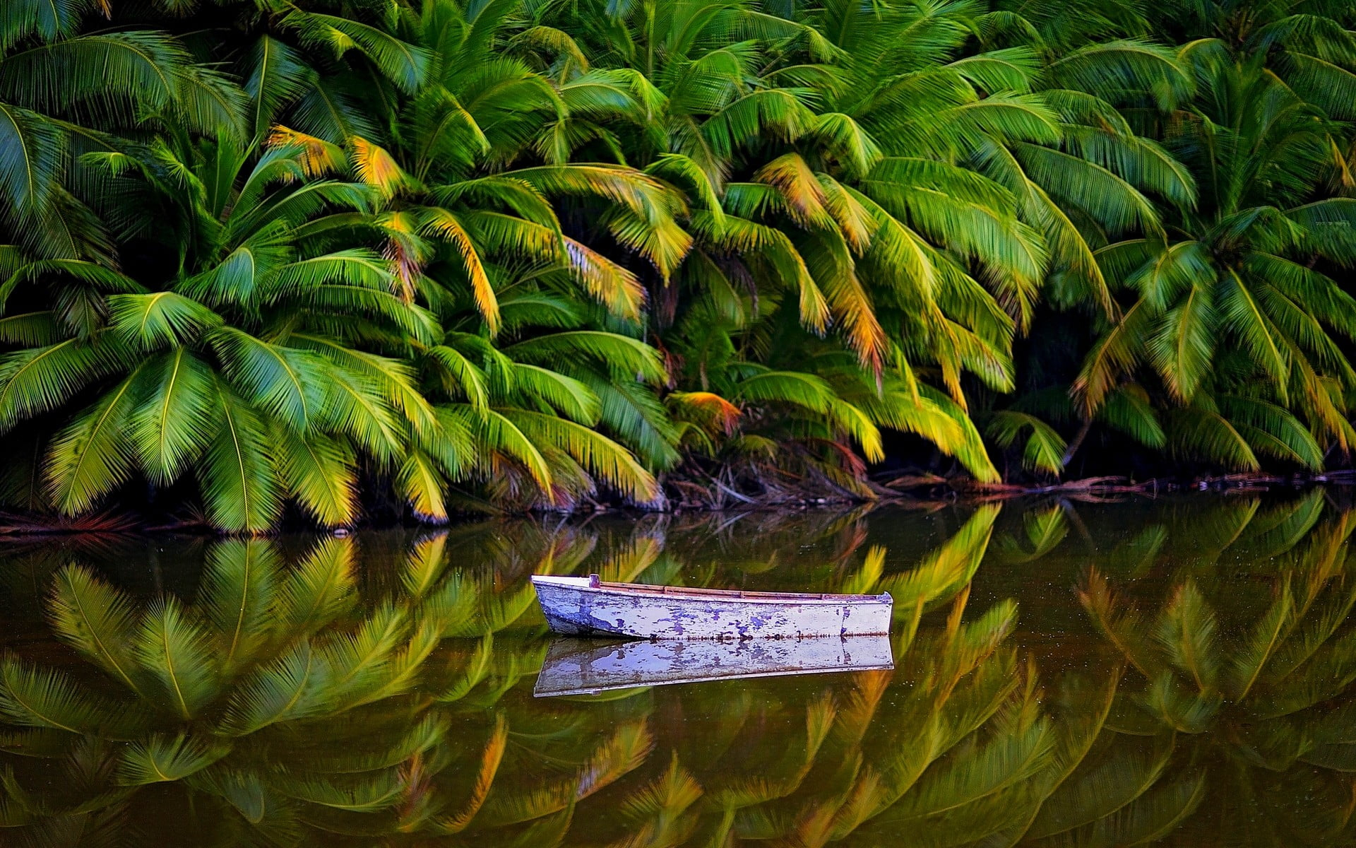 White boat on body of water, nature, landscape, palm trees, jungle wallpaper