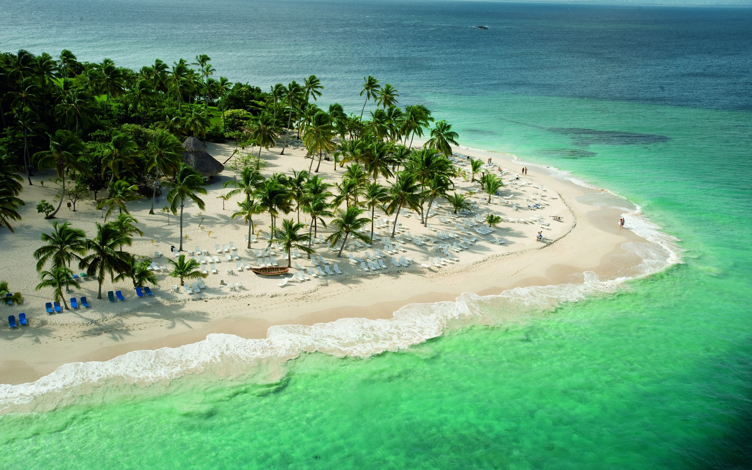 Aerial view of coast, landscape, tropical, beach, palm trees wallpaper