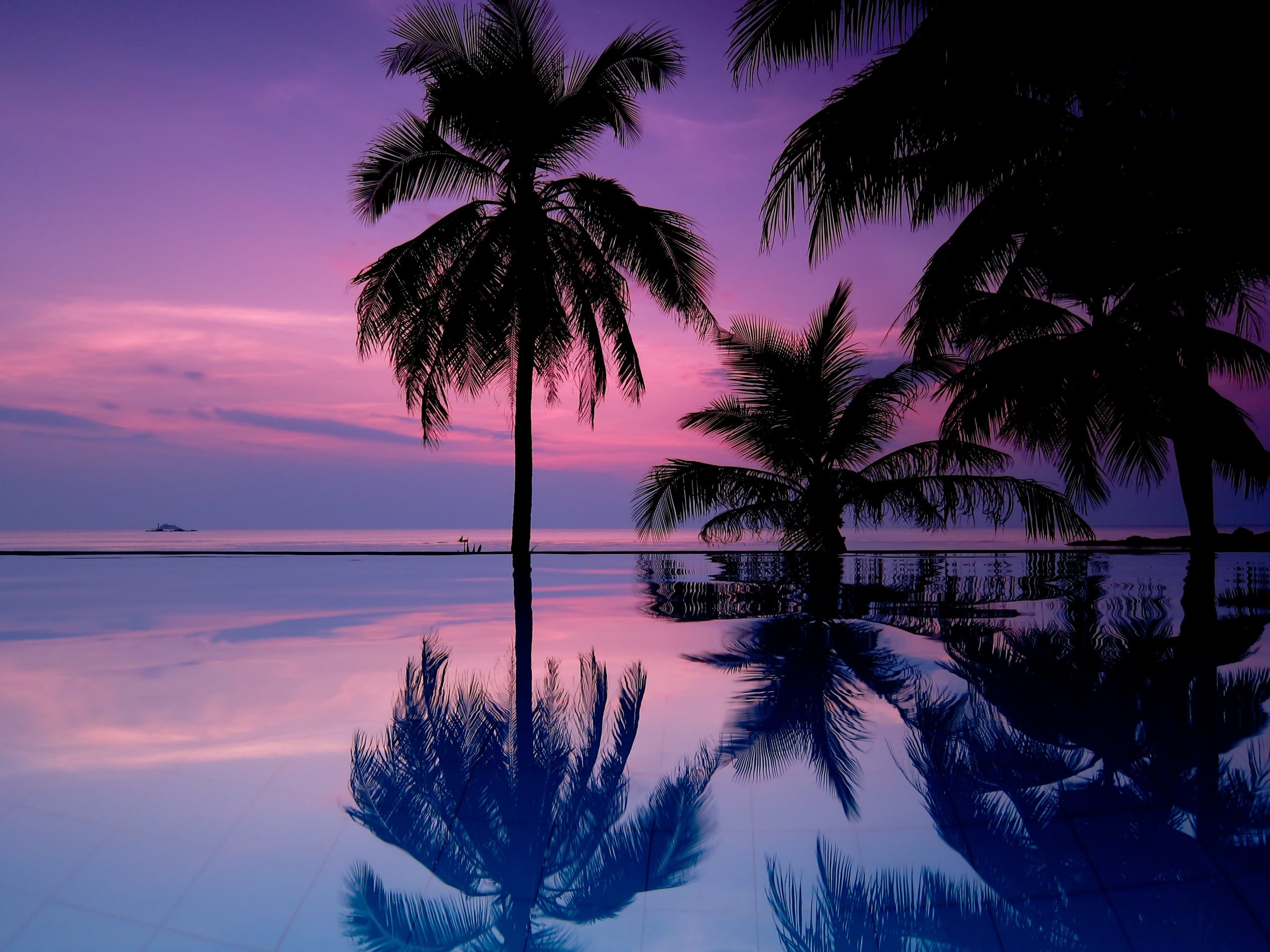 Landscape, tropical, purple sky, palm trees, sea, water, tropical climate wallpaper