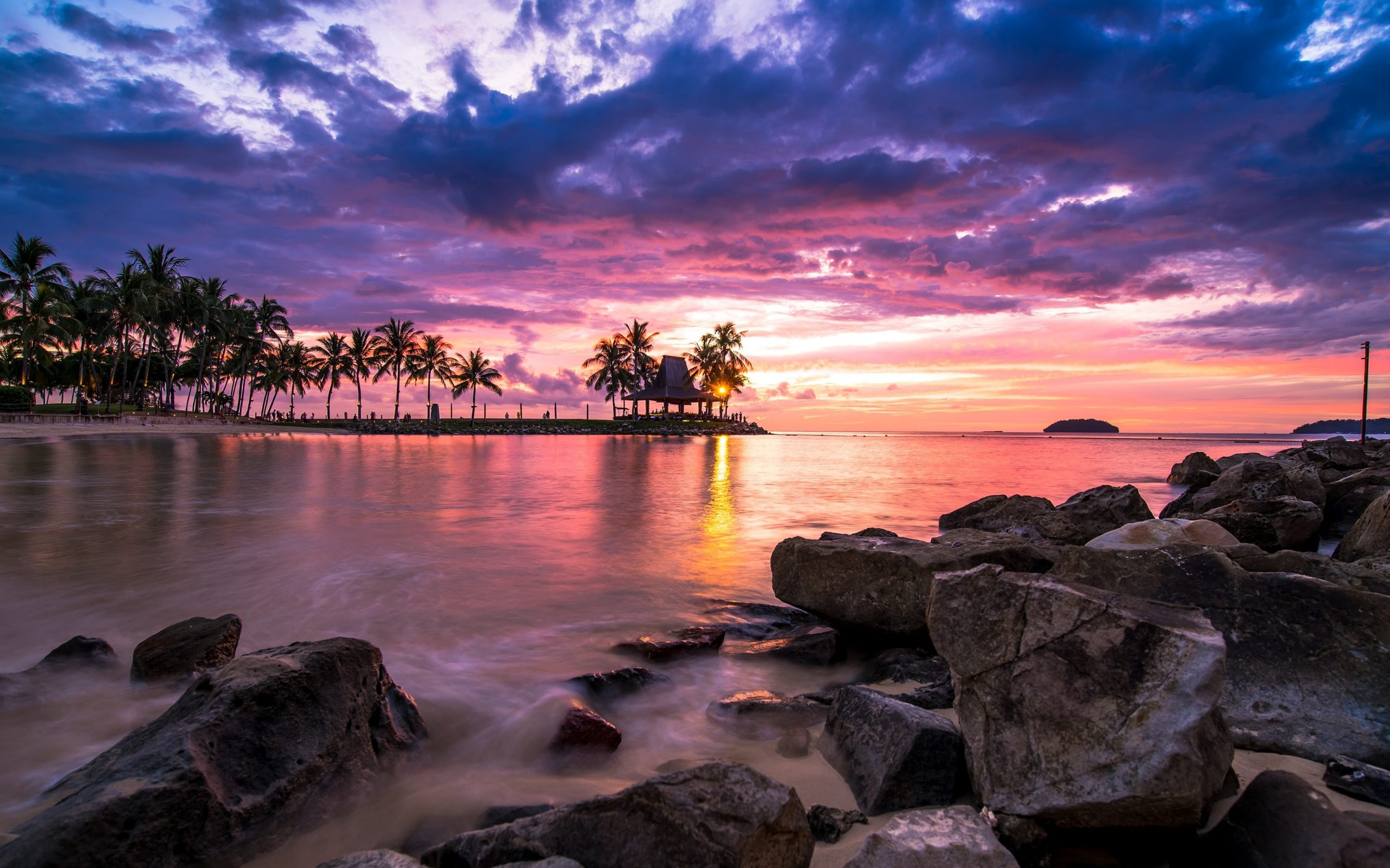 Coconut trees, nature, landscape, sunset, tropical, beach, clouds wallpaper