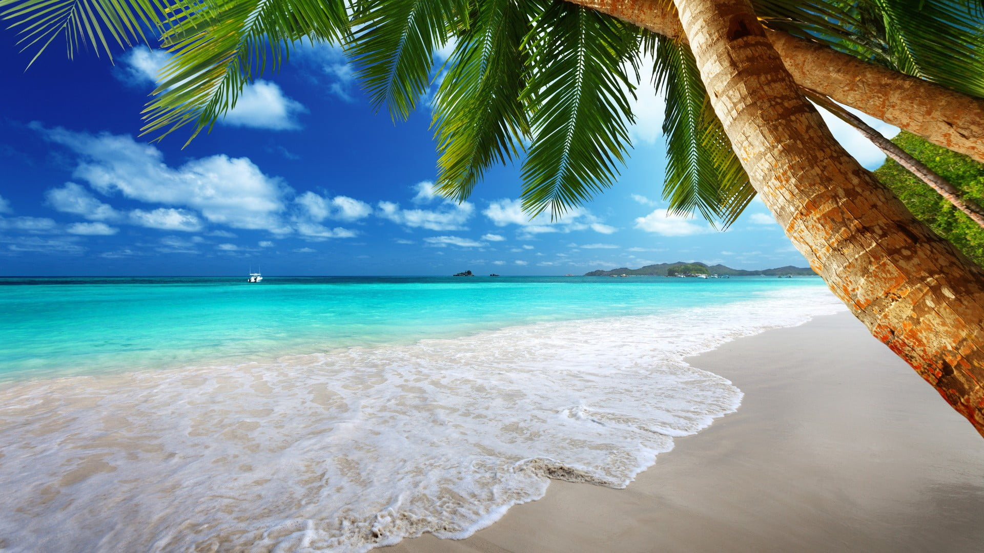 Sea waves and green coconut trees, beach, palm trees, tropical wallpaper