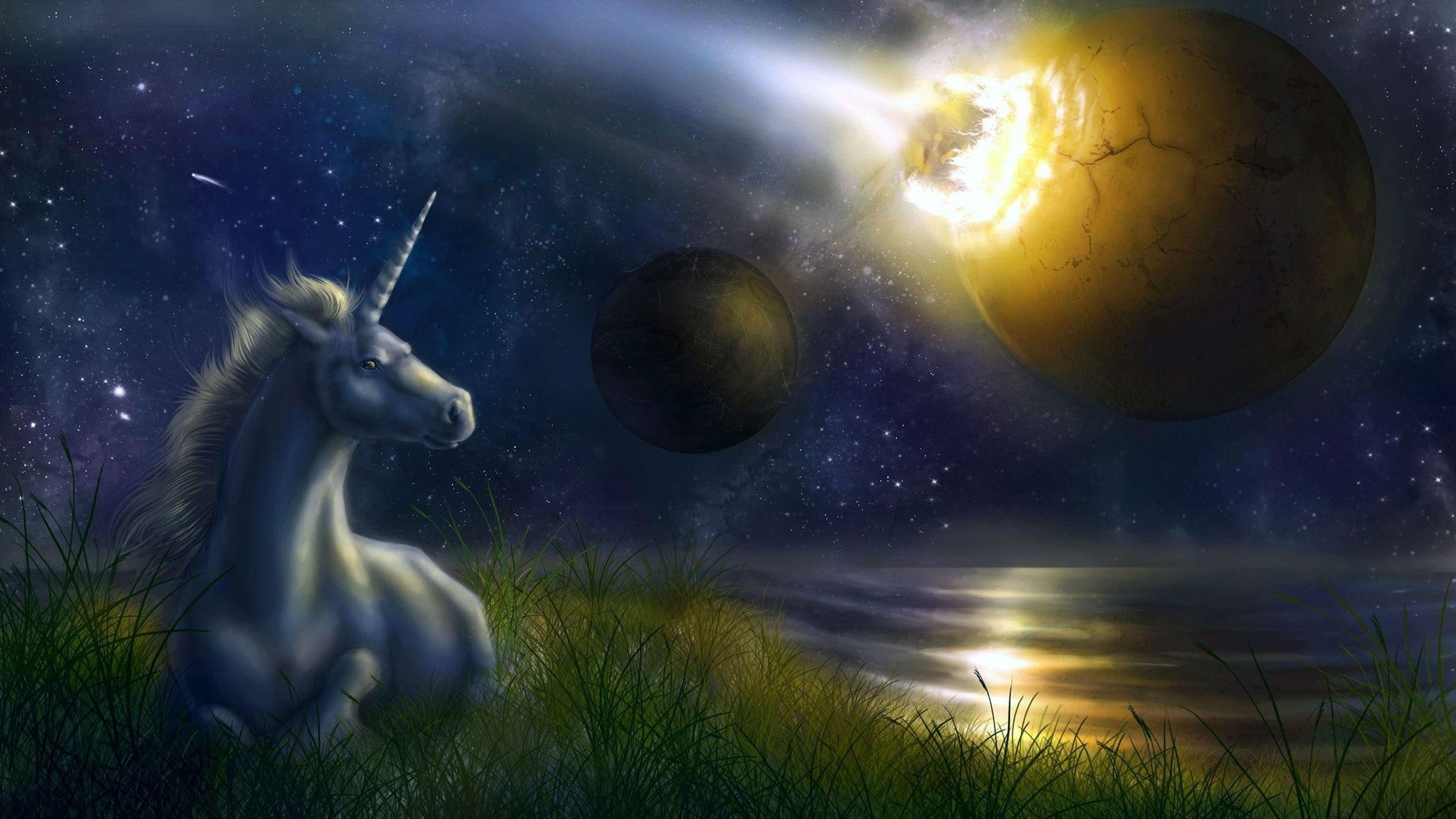 Unicorn wallpaper, unicorn watching the galaxy painting, fantasy, 2560×1440