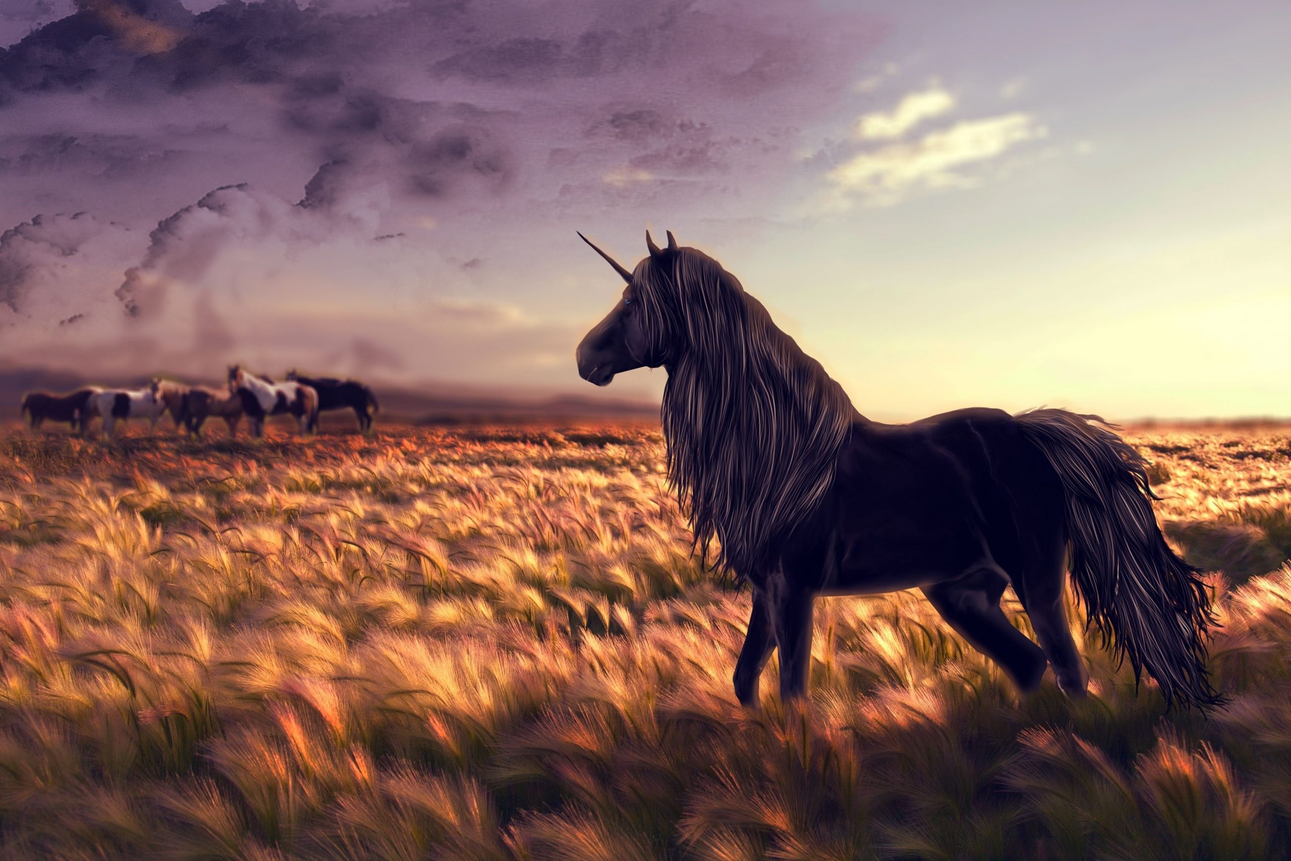 black unicorn wallpaper of wheat field digital wallpaper, horse, golf, art