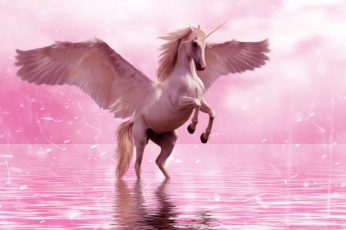 Unicorn on body of water wallpaper, wings, horse, fantasy, animal