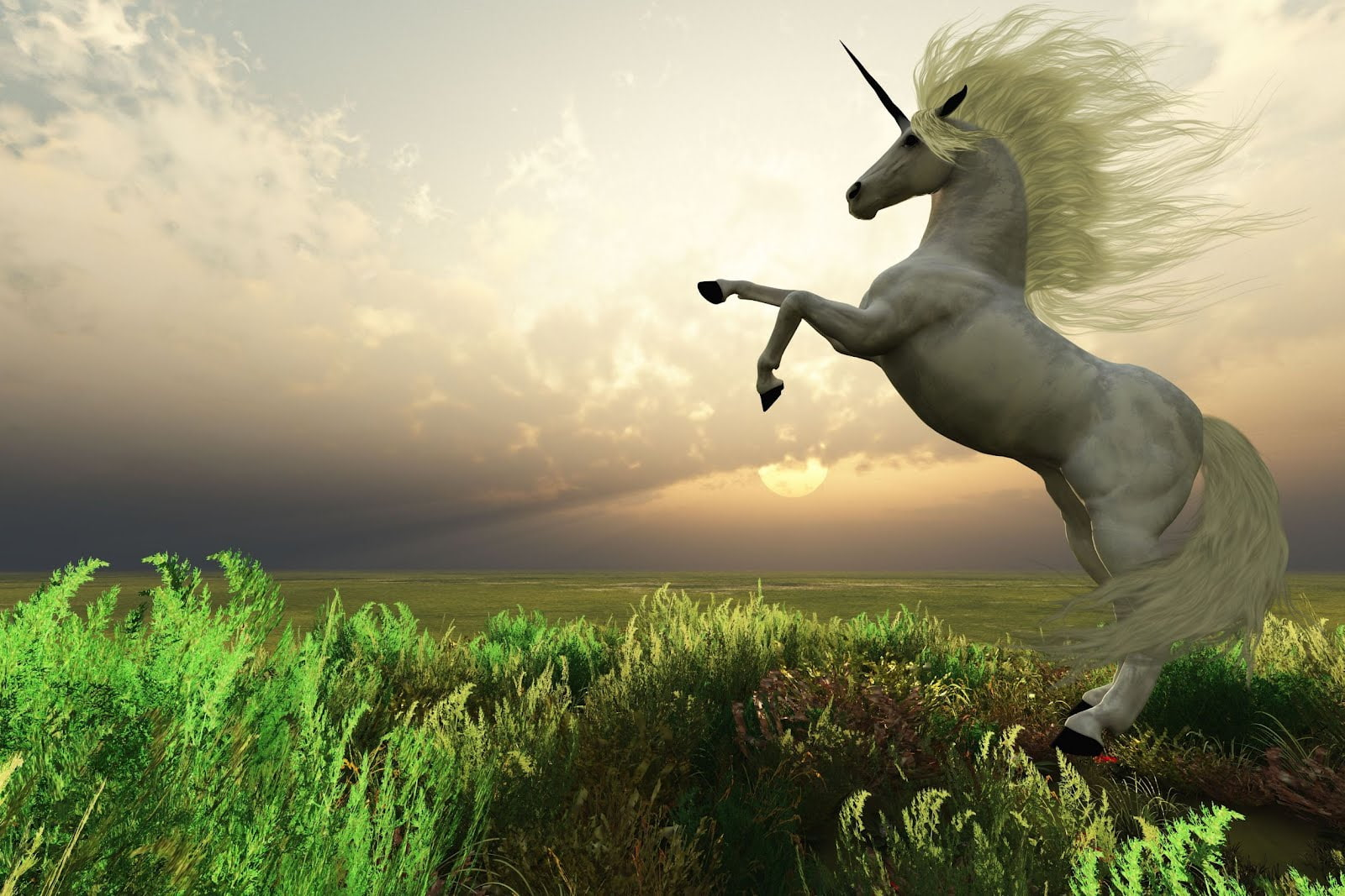 Animales, cuentos, fantasia, mitologia, mitos, unicorn wallpaper, unicornio-real