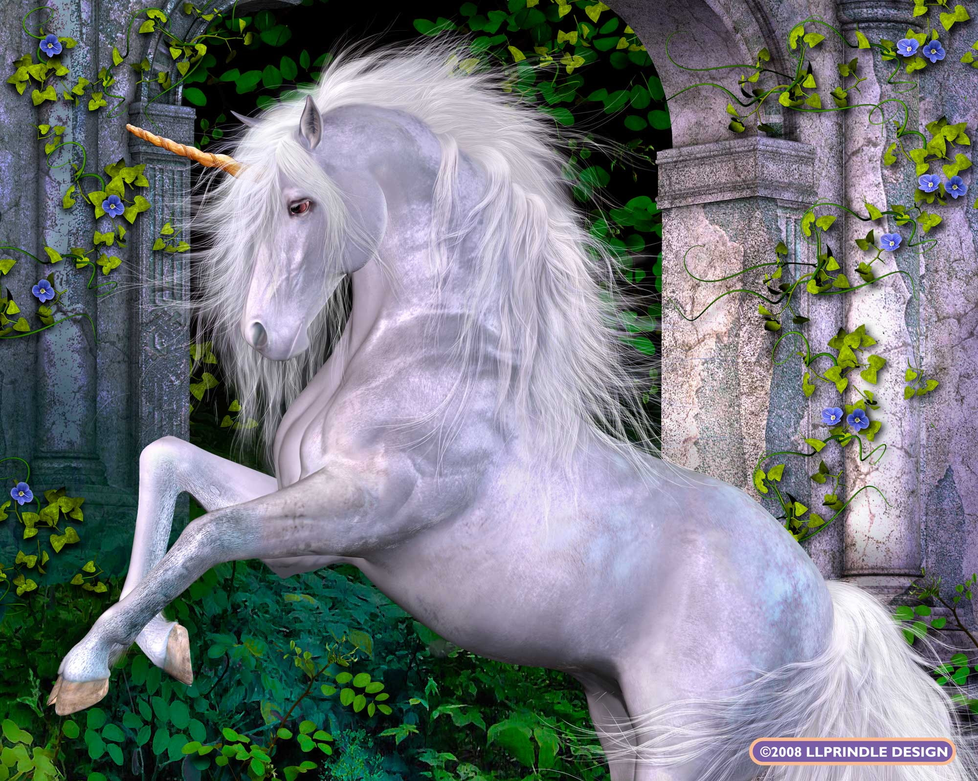 Animal, horse, magical, unicorn wallpaper