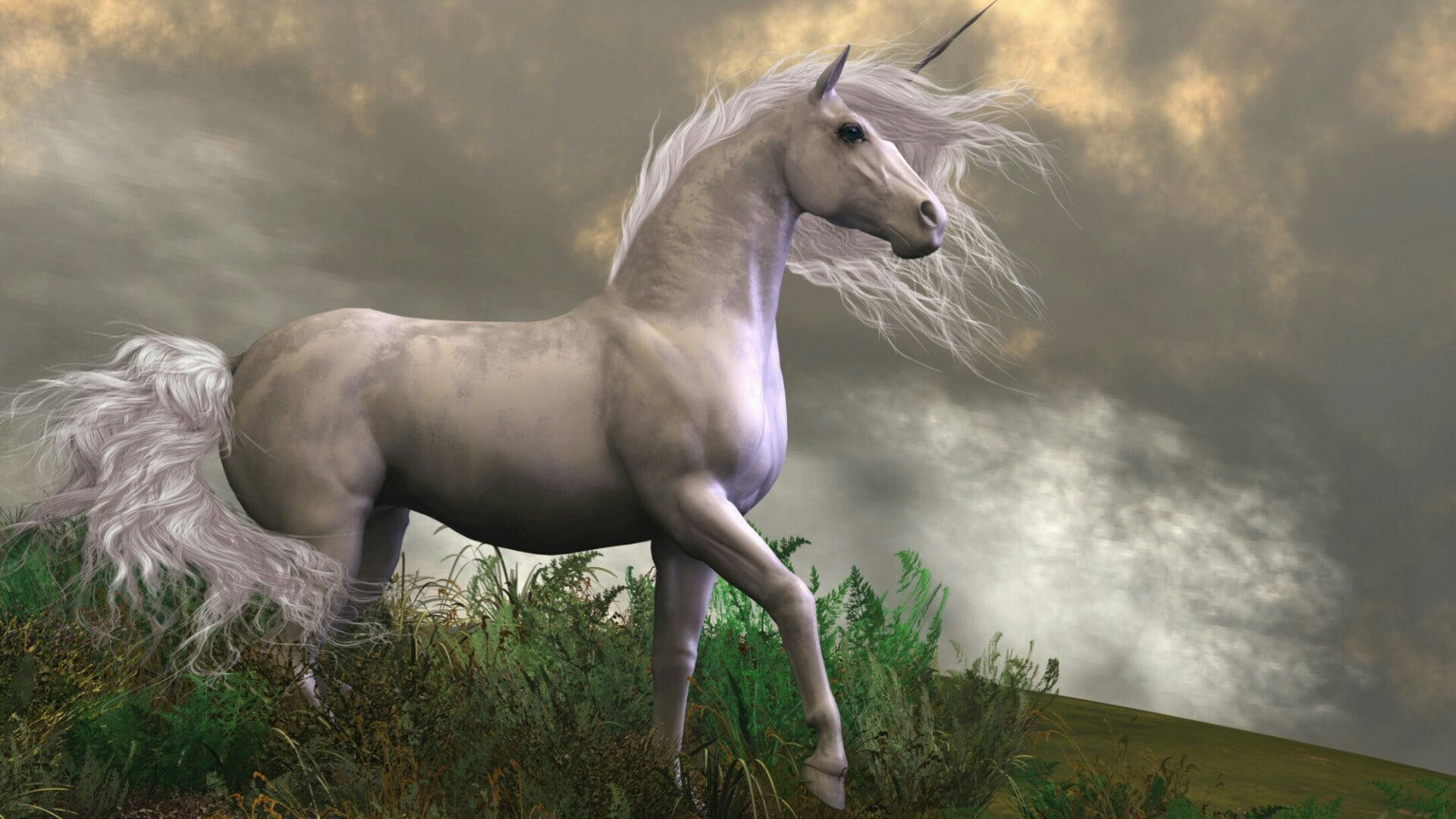 Unicorn, Horse, dreamland, dreamy, fantasy art, fairy tale